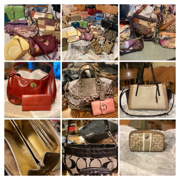 Meet your Posher, Terra - Picture 8 of 14